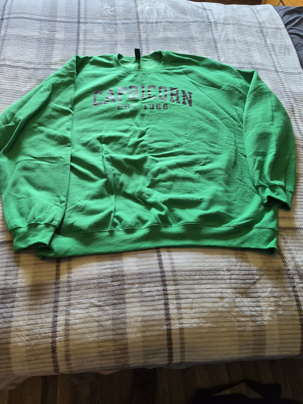 Bright Green 'Capricorn' Crewneck Sweatshirt - Men's Pullover